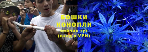 трава Нефтекумск