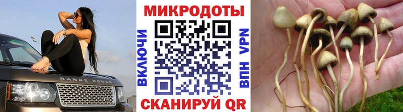 Галлюциногенные грибы Cubensis  Крым 